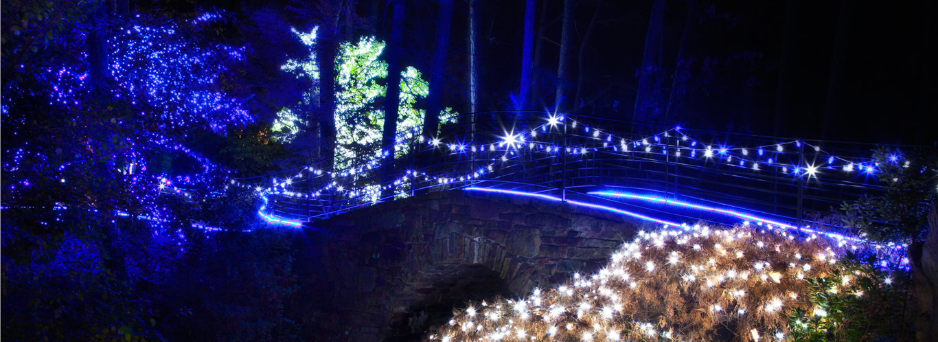 holiday lights at garvan gardens catherine s landing holiday lights at garvan gardens catherine s landing
